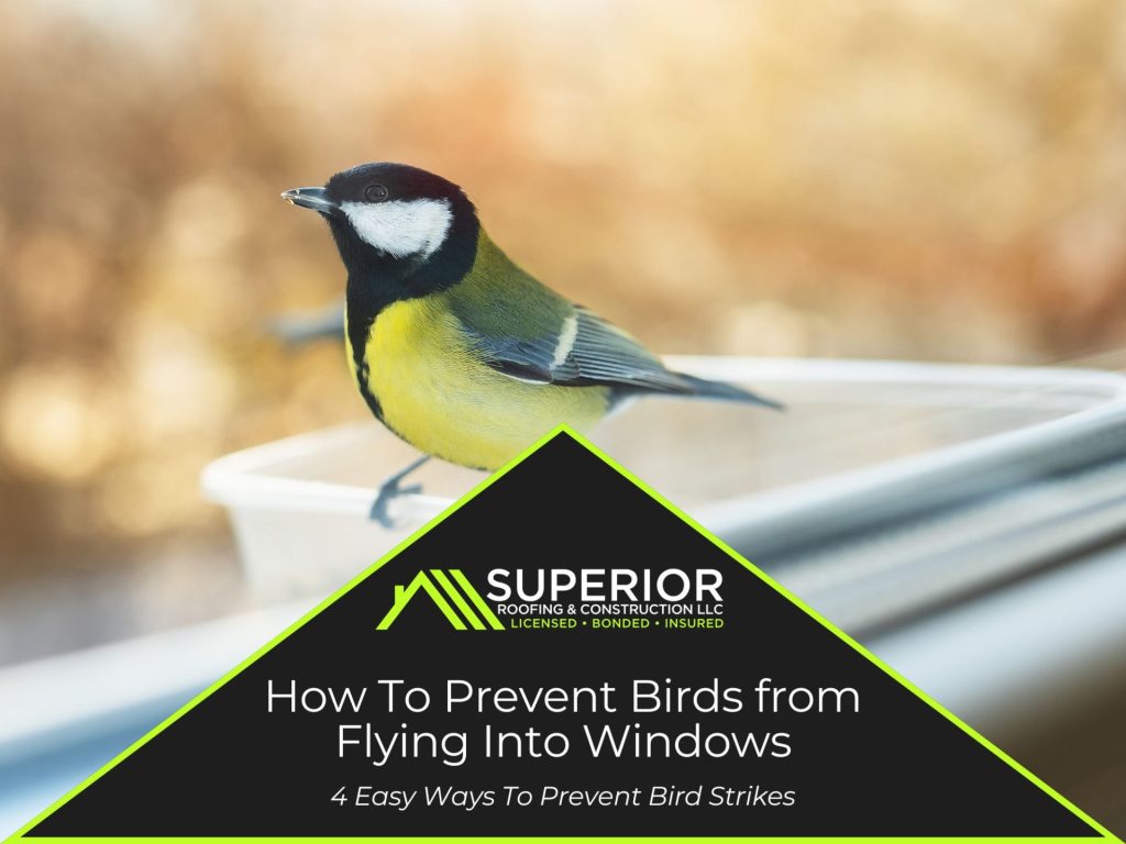 How to prevent birds from flying into windows​